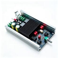 Mono Class D Digital Amplifier Board